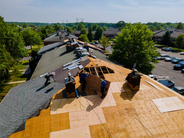 Quick and Trustworthy Emergency Roof Repair Services in Dora, AL