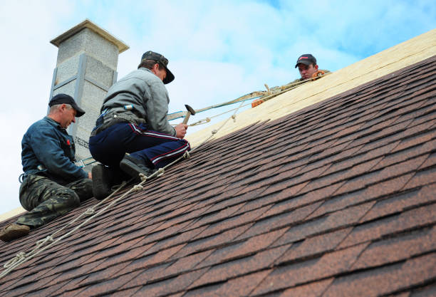 Roof Waterproofing Services in Dora, AL